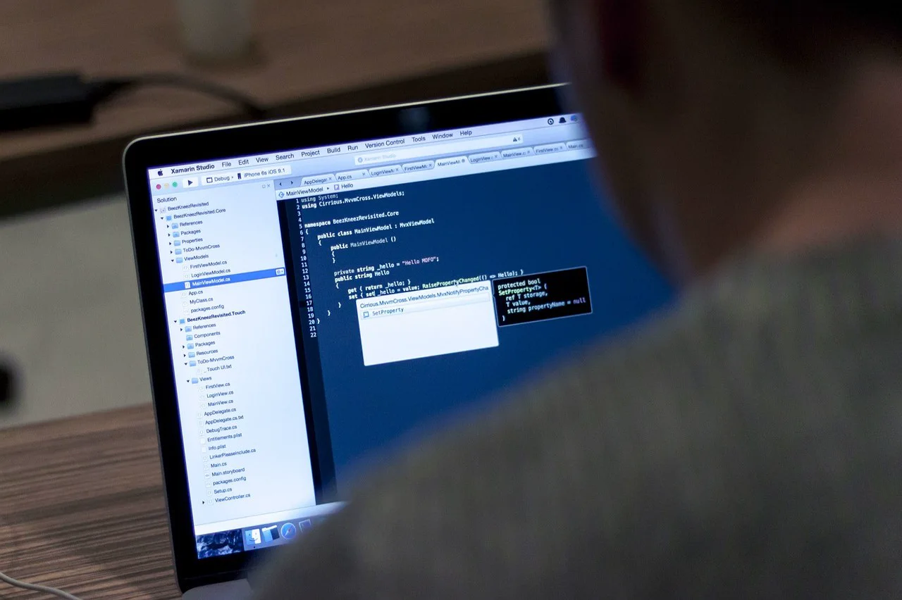 Softwareentwicklung an einer individuellen Unternehmensanwendung